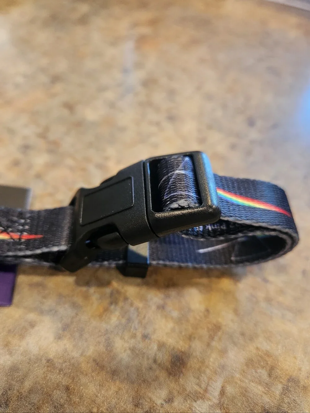 Pink Floyd Dog Collar